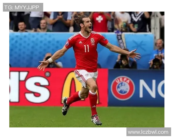 爱尔兰历史最强足球巨星传奇与国家荣誉辉煌之路